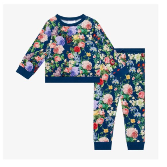 Posh Peanut Other - Posh Peanut Sweatshirt & Jogger Set Set - Carmen Blue Floral NWT 3-6